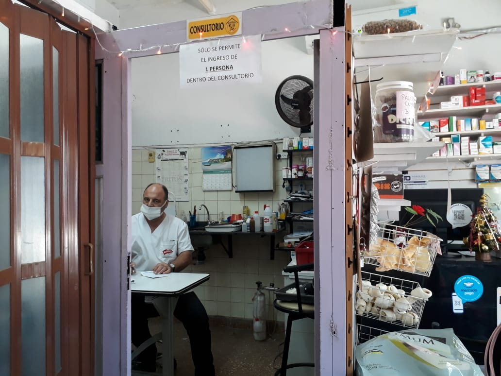 Veterinario atendiendo en el consultorio